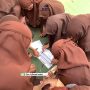 Foto siswa SDIT Al Husnayain mengikuti Explore and Solve Mission di SMPIT Al Husnayain.